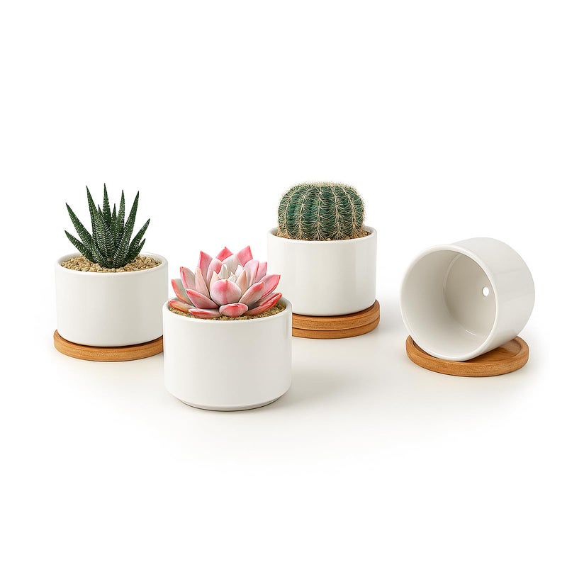 ZOUTOG Succulent Pots 3.15 Inch,4 Pack Succulent Planters,Small Pots for Plants with Drainage and Tray,White Ceramic Flower Planters for Indoor Plants,Home,Office,Desk - Image 1